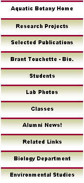 Home [facstaff.elon.edu]