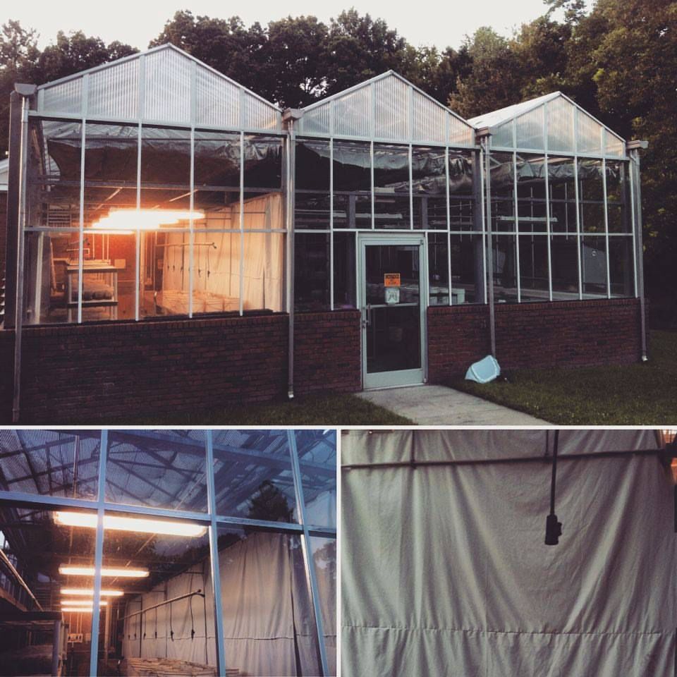 lights on in the greenhouse